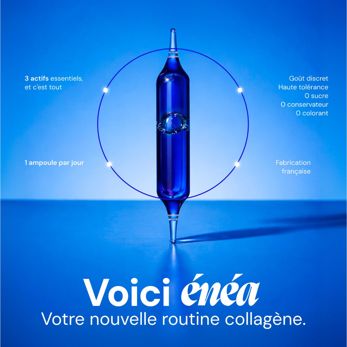 Le Collagène